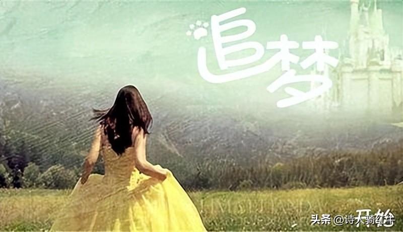 追梦作文800字（高中优秀习作）
