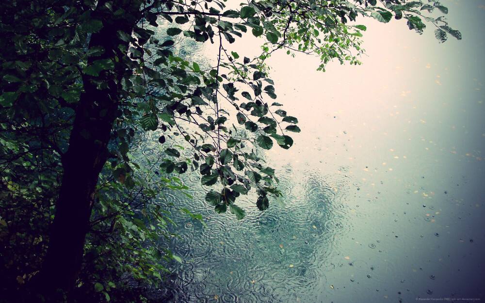 听雨的作文1000字左右范文(报春的喜雨)-电子课本网 听雨的作文1000字左右范文(报春的喜雨)