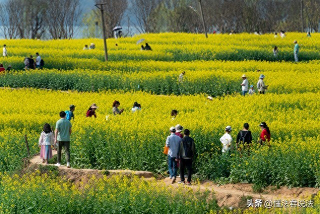 春游的作文500字初中习作(春游)-电子课本网 春游的作文500字初中习作(春游)
