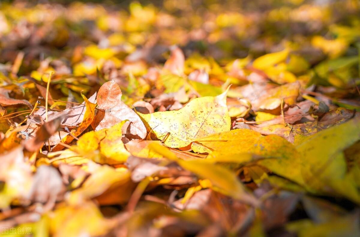 在乎作文600字(初中优秀习作)-电子课本网 在乎作文600字(初中优秀习作)