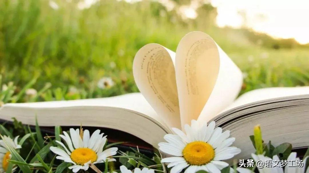 读你作文2篇中考作文(我用心地读你)-电子课本网 读你作文2篇中考作文(我用心地读你)