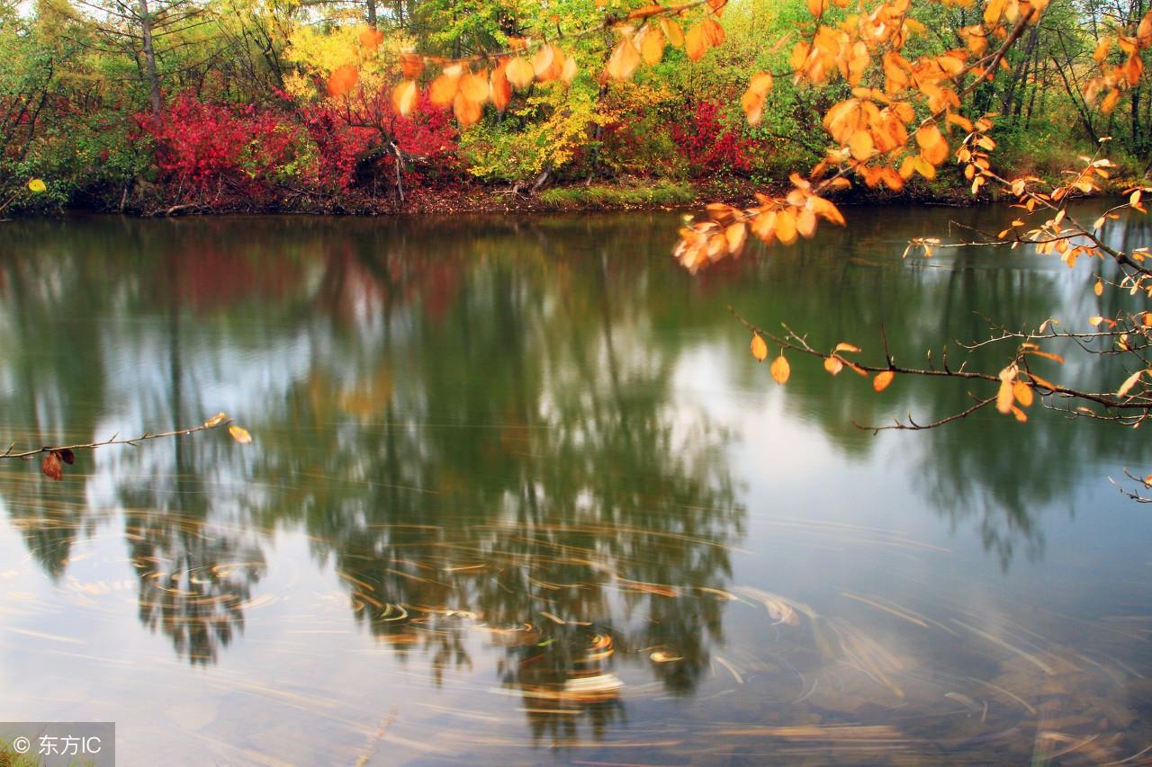 关于家乡的作文800字(家乡的小河)附:点评-电子课本网 关于家乡的作文800字(家乡的小河)附:点评