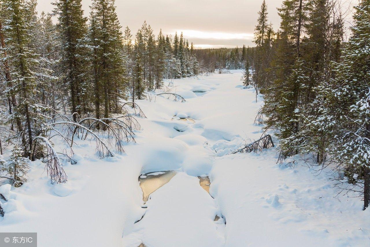 关于家乡的作文800字(家乡的小河)附:点评-电子课本网 关于家乡的作文800字(家乡的小河)附:点评
