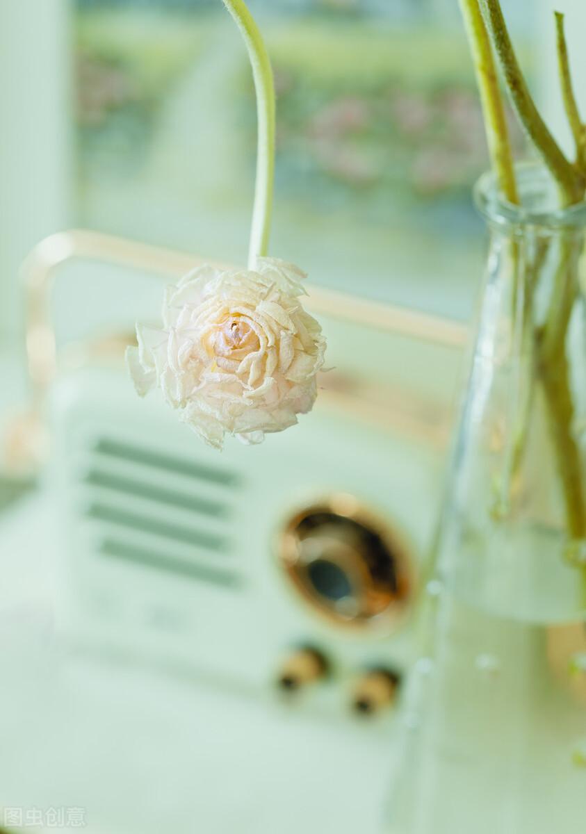 水仙花的作文1000字原创优秀(成长的水仙)-电子课本网 水仙花的作文1000字原创优秀(成长的水仙)