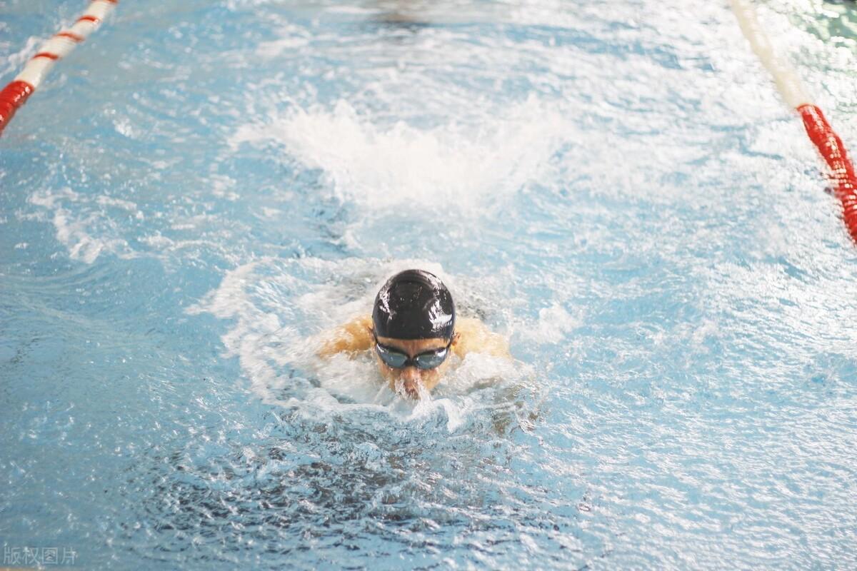 游泳作文800字初中优秀作文《游泳是一种幸福》