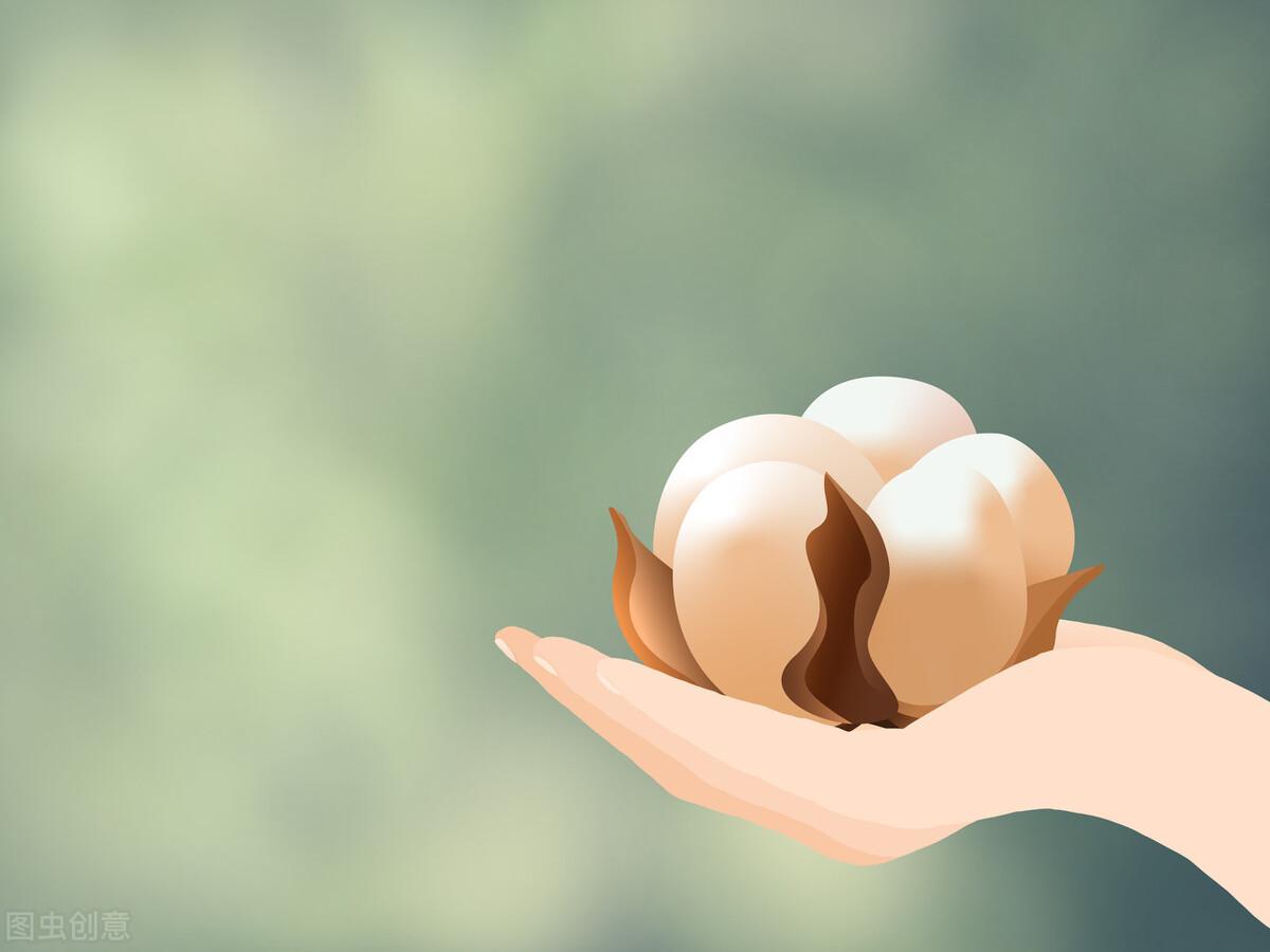 照片里的故事作文1000字中考满分《照片的故事》