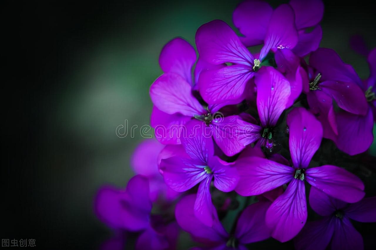 诚信的作文2篇学生考场作文（初中优秀）