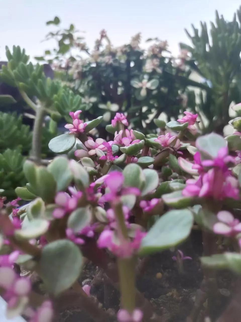 苦中作乐的作文800字中考模拟作文（苦与乐）