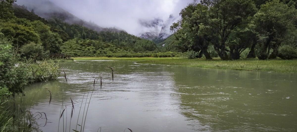 在雨中作文700字初中满分范文《雨中》