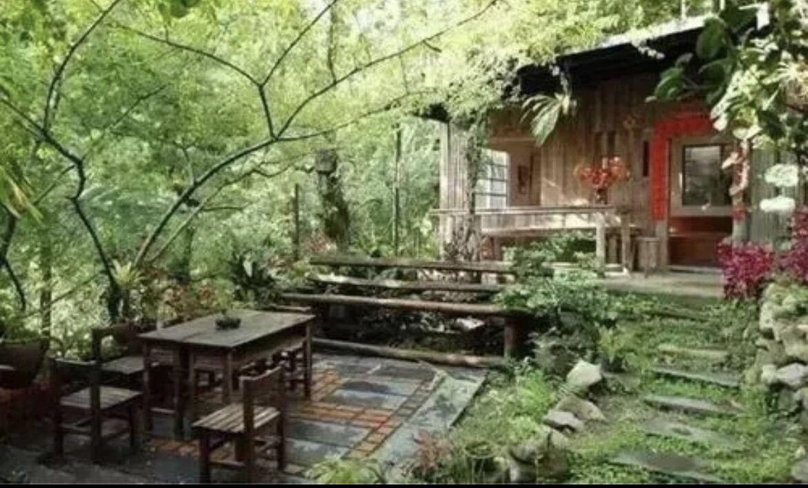 外婆家作文800字(外婆的小院)-电子课本网 外婆家作文800字(外婆的小院)