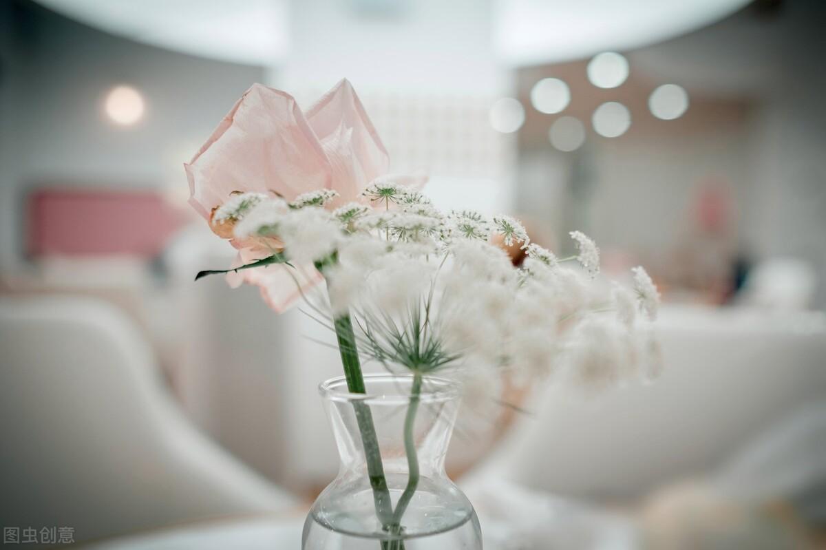 自然现象的作文600字原创优秀（自然的恩赐）