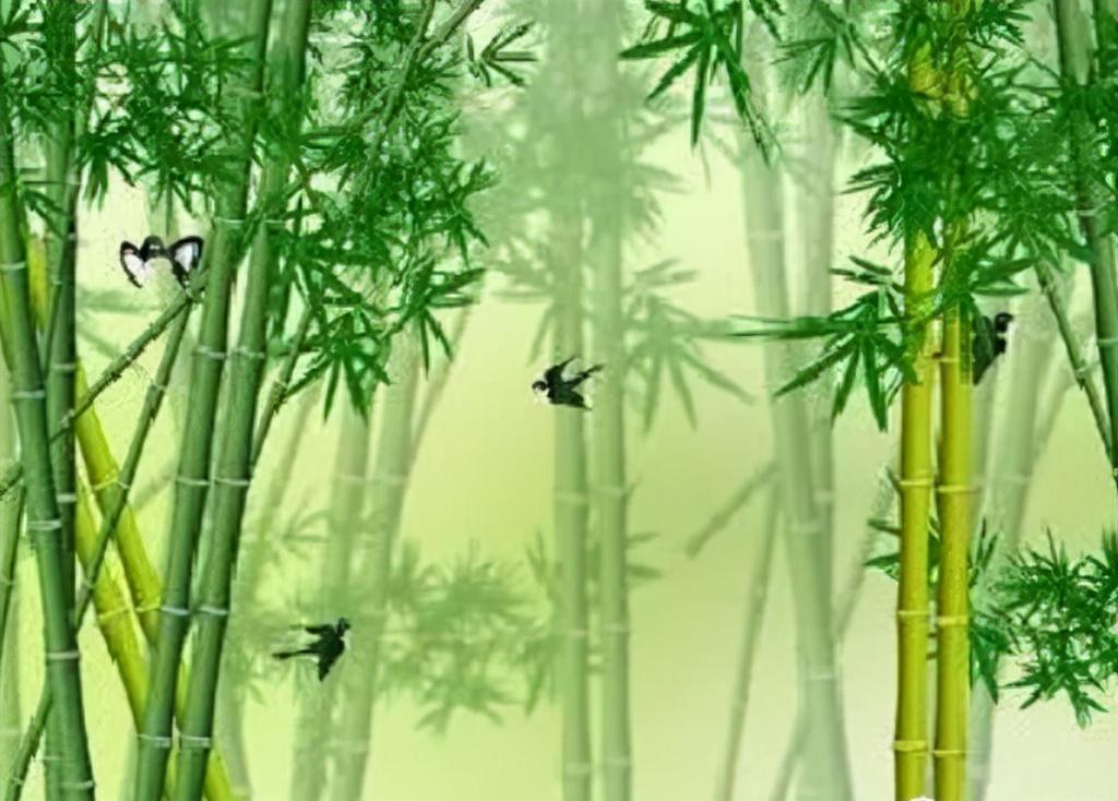 竹子作文，《我心中的那片竹》