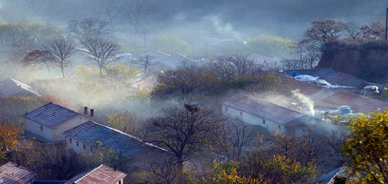 写景的作文500字《心灵深处的风景》